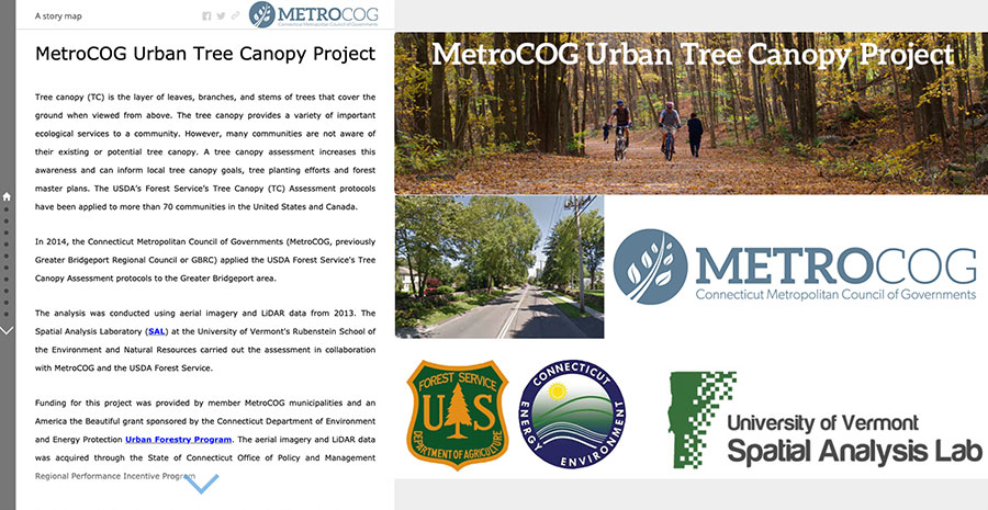 Urban-Tree-Canopy-Project